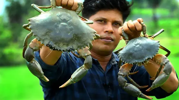 طرز تهیه غذای محلی هند؛ پخت خرچنگ در طبیعت به سبک روستایی / فیلم