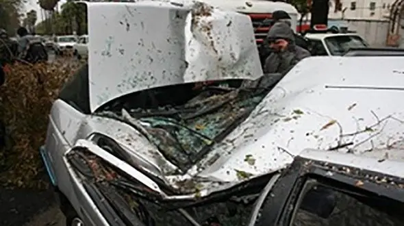 له شدن دختر 10 ماهه در سقوط درخت روی پژو / در شمال رخ داد