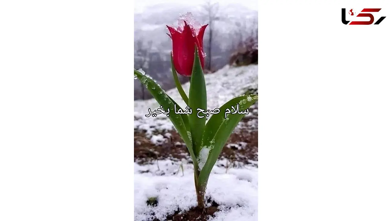 فال ابجد امروز / اول بهمن + فیلم