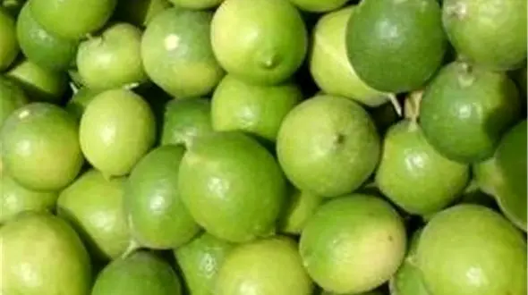 با این میوه پاییزی سرماخوردگی را ضربه فنی کنید