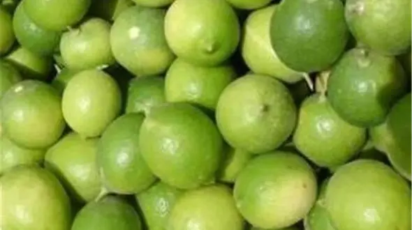 با این میوه پاییزی سرماخوردگی را ضربه فنی کنید