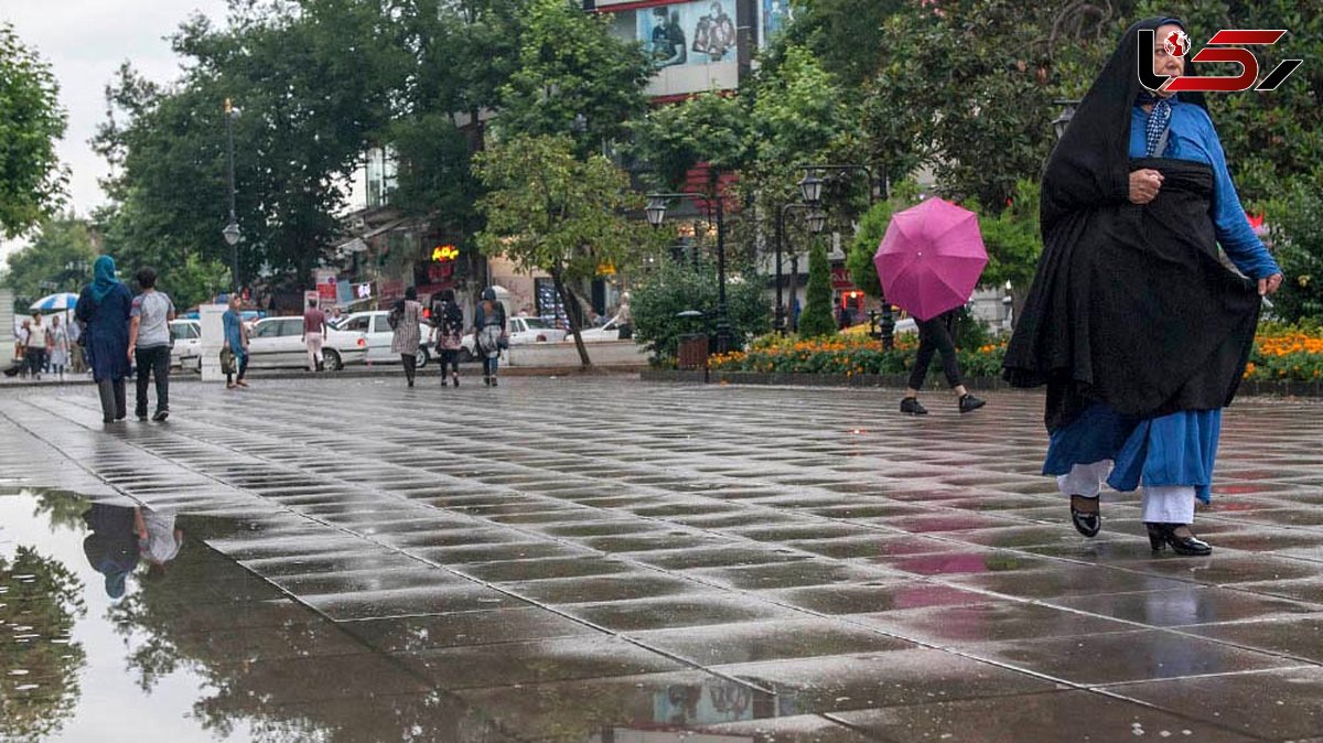 بارش باران در شمال کشور/ هوا 5 درجه خنک می شود