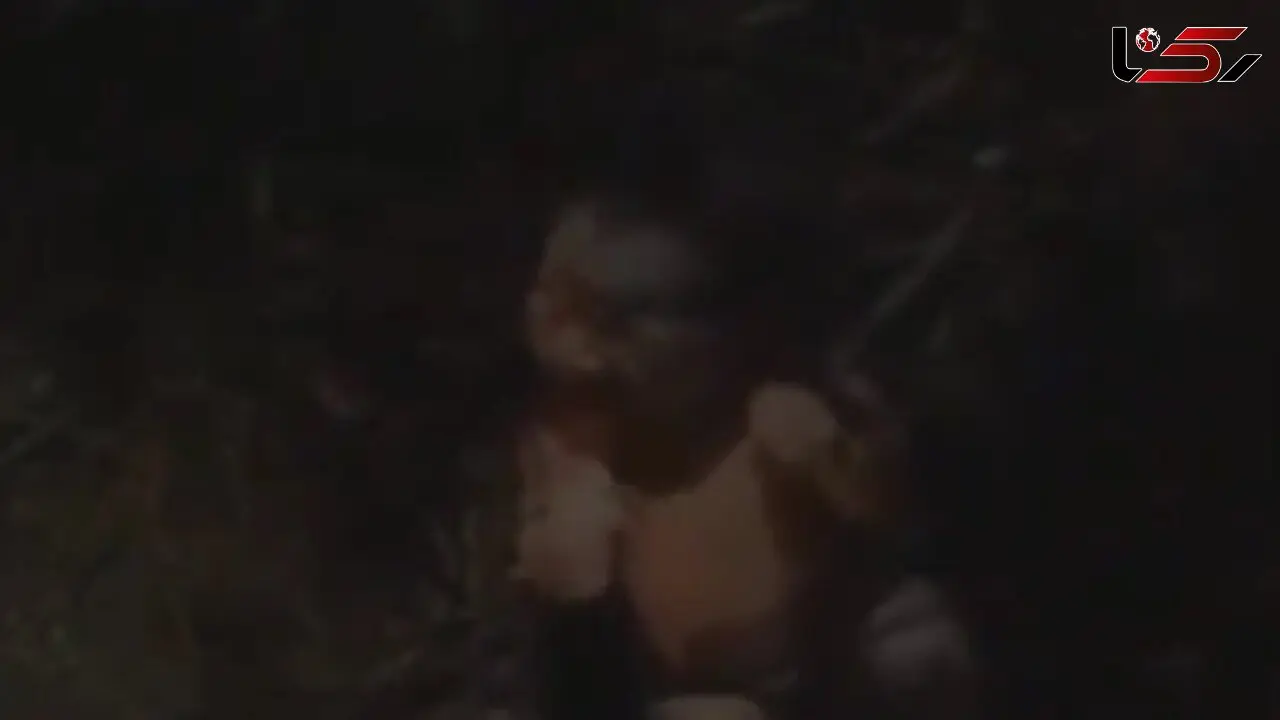 مورچه ها  نوزاد رها شده را می خوردند تا اینکه .... + فیلم