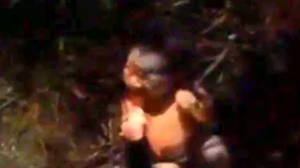 مورچه ها  نوزاد رها شده را می خوردند تا اینکه .... + فیلم