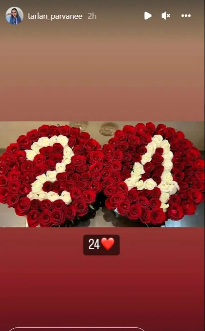 کادوی تولد ترلان پروانه