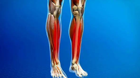 درد استخوان چیست؟ / علائم و درمان + جدول