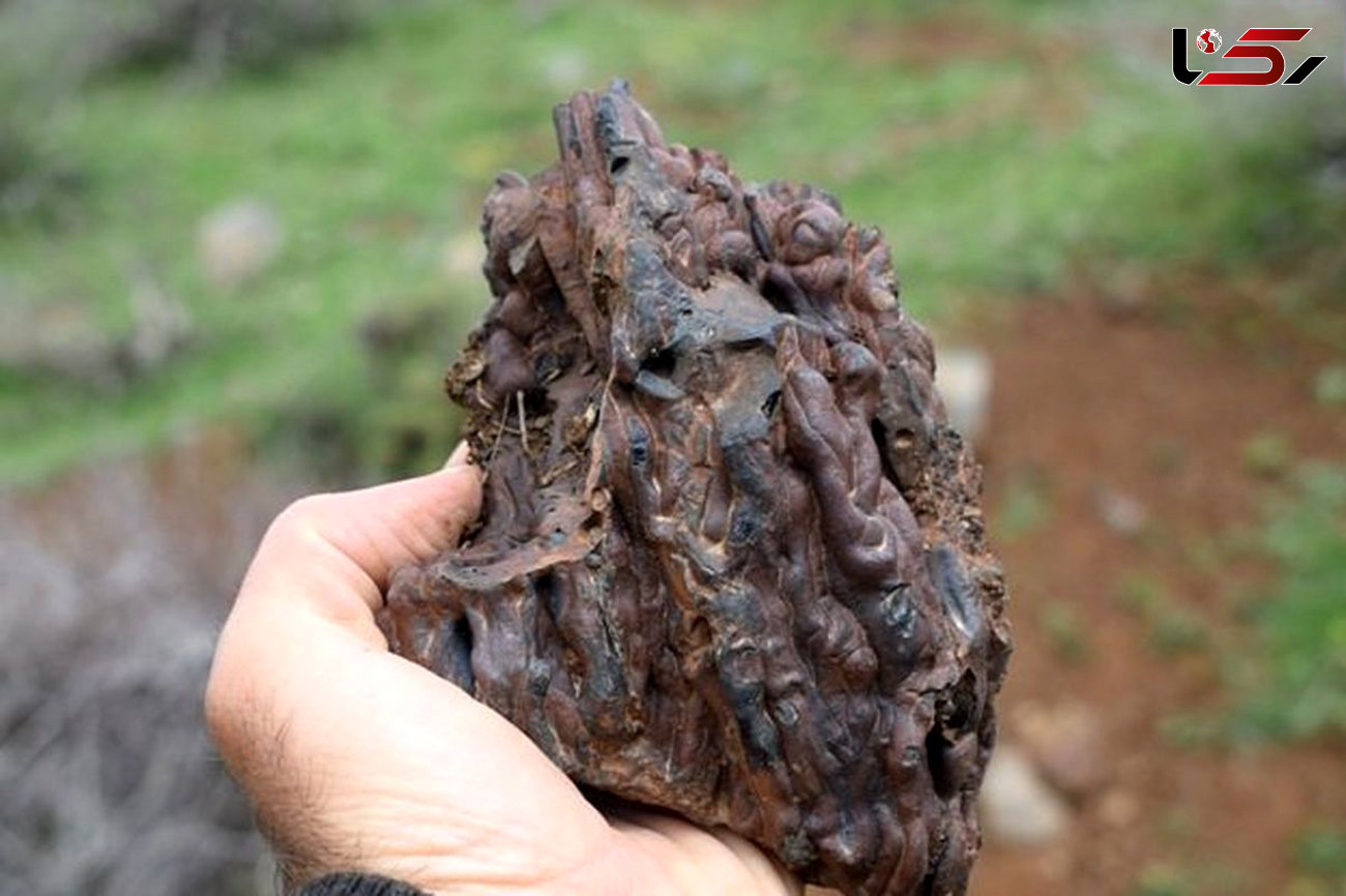 کشف آثار ذوب فلزات باستانی در مهاباد + عکس