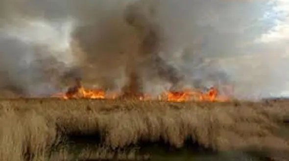 آتش سوزی تالاب قره قشلاق بناب مهار شد