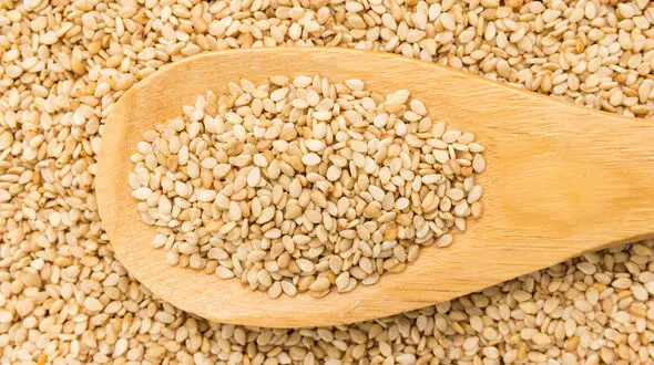 کنجد سرشار از کلسیم و ویتامین‌