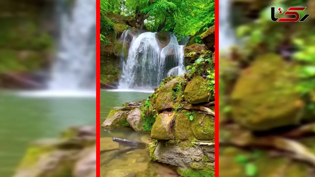 فیلم آبشار دیدنی در جنگل لفور