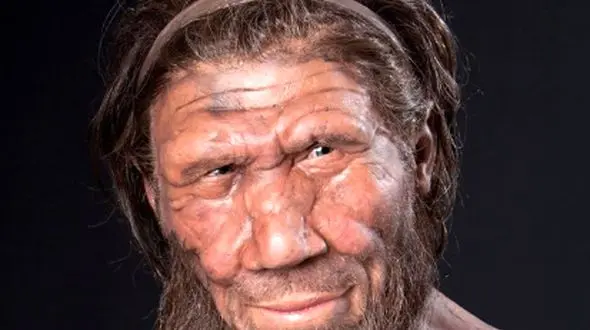 رژیم غذایی عجیب نئاندرتال‌ها: مگس‌ ها و لاروها در منوی باستانی!