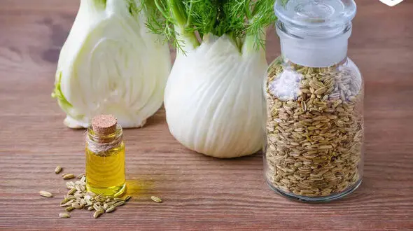 پاکسازی رحم با رازیانه