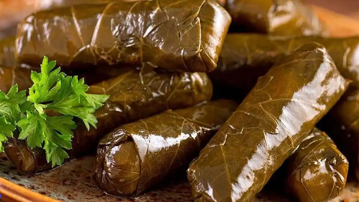 دلمه برگ مو روایت خوش‌طعم یک غذای کهن