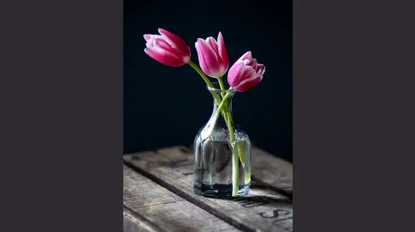 فال ابجد امروز / 21 اردیبهشت ماه + فیلم 