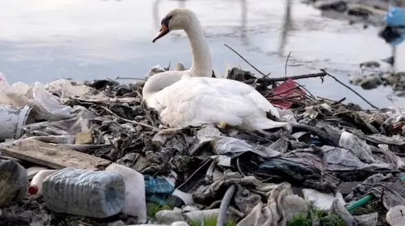 آژیر قرمز پلاستیکی در ایران/ تولید سالانه 4.5 میلیون تُن پلاستیک و سوزاندن 500 هزار تُن زباله پلاستیکی در کشور