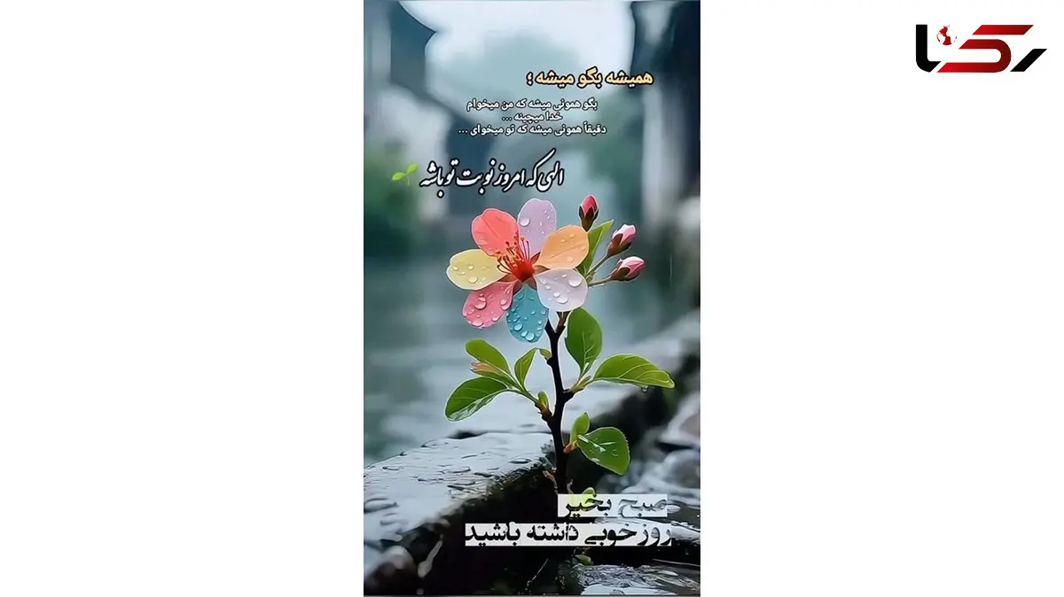 فال و طالع بینی روزانه 4 آذر 