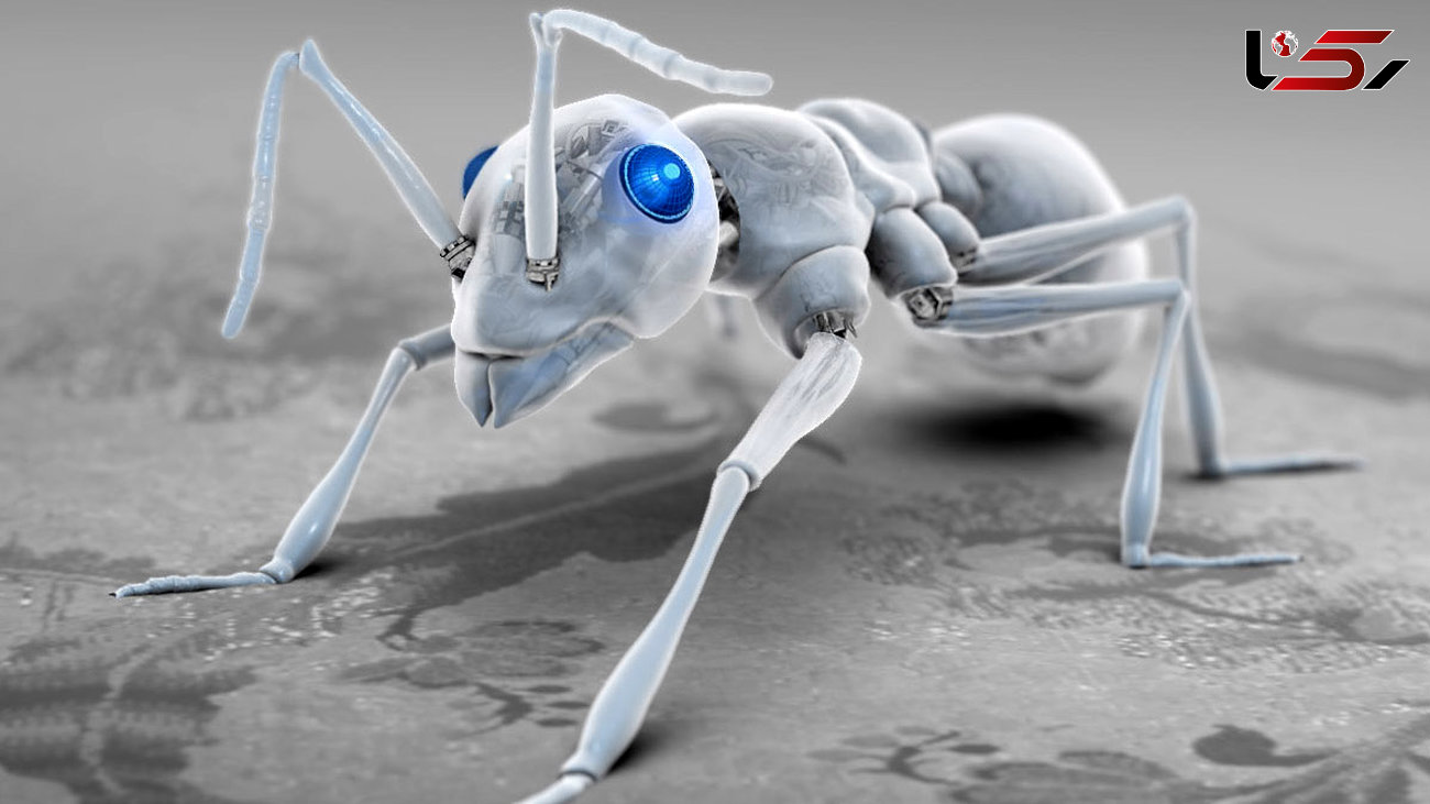 قابلیت های مورچه های رباتیکی را بشناسید