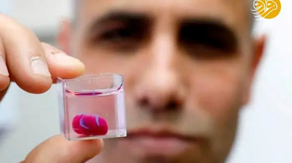 برای نخستین‌بار قلب واقعی ساخته شد+عکس
