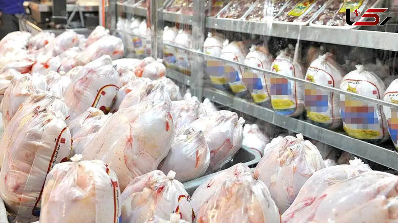 قیمت جدید مرغ در بازار؛ هر کیلوگرم تا ۲۴۰ هزار تومان اعلام شد