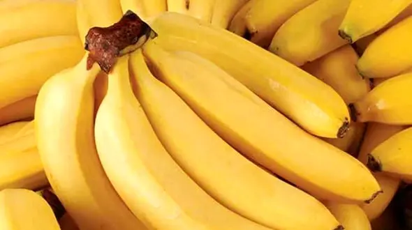 دوستان ریه تان را بشناسید