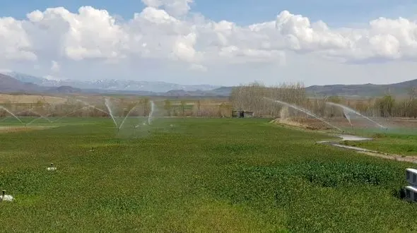 پنج هزار هکتار از اراضی کشاورزی آذربایجان غربی مجهز به آبیاری های نوین شد