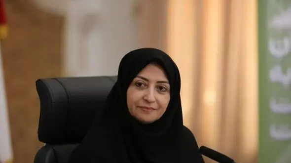 انتقاد رییس سازمان حفاظت محیط زیست از اجرای ناقص قانون هوای پاک
