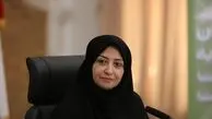 انتقاد رییس سازمان حفاظت محیط زیست از اجرای ناقص قانون هوای پاک