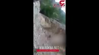 قاتلان بچه خرس در سوادکوه  قصد دزدیدن آن را داشتند / اعتراف نزد پلیس !+ فیلم