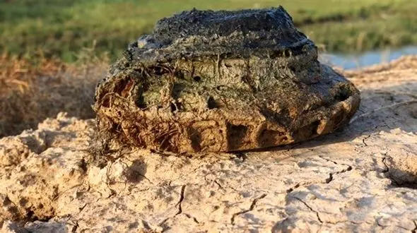 فوری / انفجار مین دقایقی پیش در ایلام + جزئیات