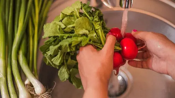 چطور انگل‌ و میکروب‌ سبزیجات را نابود سازیم؟