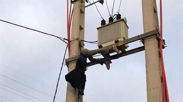 چوب خدا این دزد را خشک کرد !