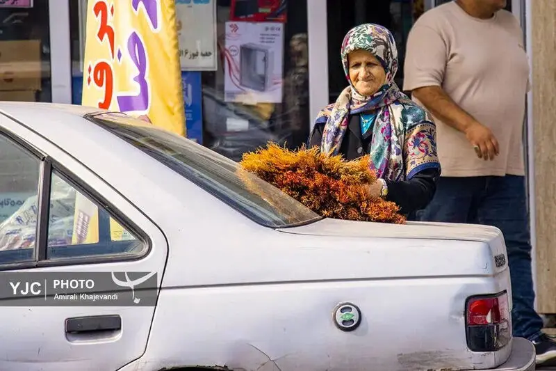 گالری