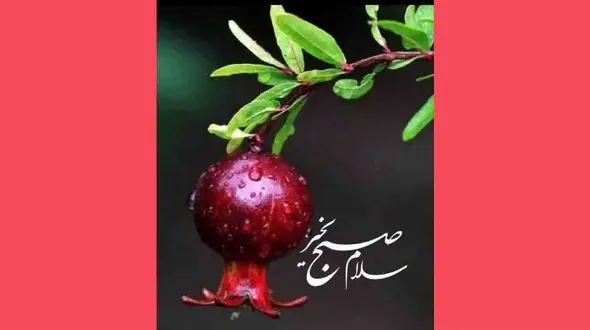 فال ابجد امروز / 4 اردیبهشت ماه + فیلم 