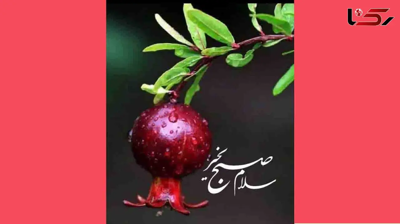 فال ابجد امروز / 4 اردیبهشت ماه + فیلم 