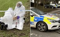 Stevenage 'murder': Boy, 15, and 3 others arrested after man, 31, killed during attack