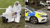 Stevenage 'murder': Boy, 15, and 3 others arrested after man, 31, killed during attack