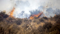 آتش سوزی در تالاب هامون