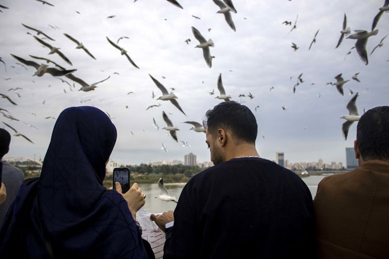 پرندگان مهاجر خوزستان