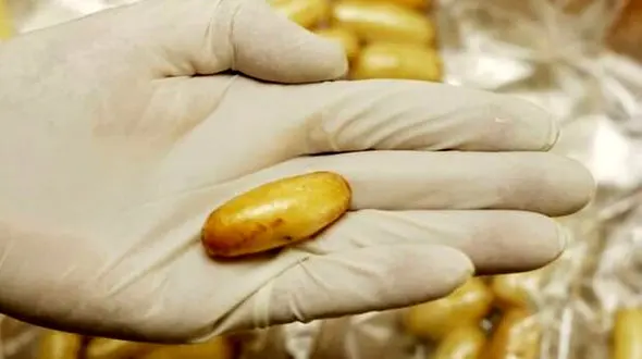  مرگ بادی پکرها در دل تهران