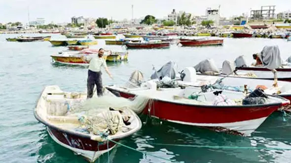 
دلایل گرانی ماهی جنوب از زبان صیادان بوشهری / ماهیگیر  زیاد شده، ماهی کم
