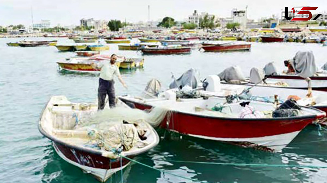 
دلایل گرانی ماهی جنوب از زبان صیادان بوشهری / ماهیگیر  زیاد شده، ماهی کم
