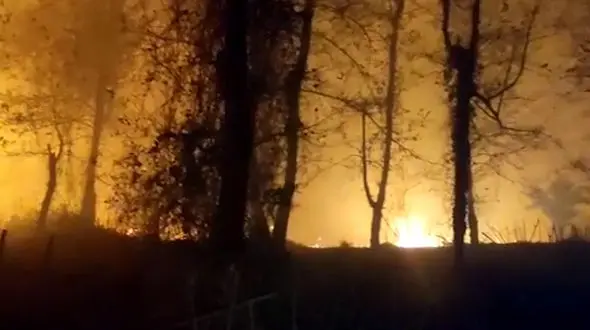 فیلم لحظه آتش سوزی مهیب جنگل های گیلان + جزئیات