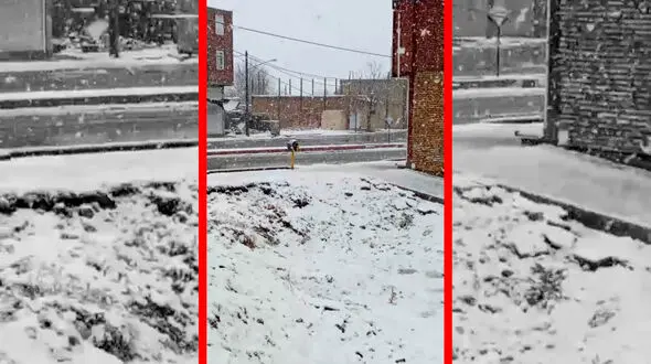 فیلم بارش برف در شهر رابر کرمان