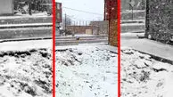 فیلم بارش برف در شهر رابر کرمان