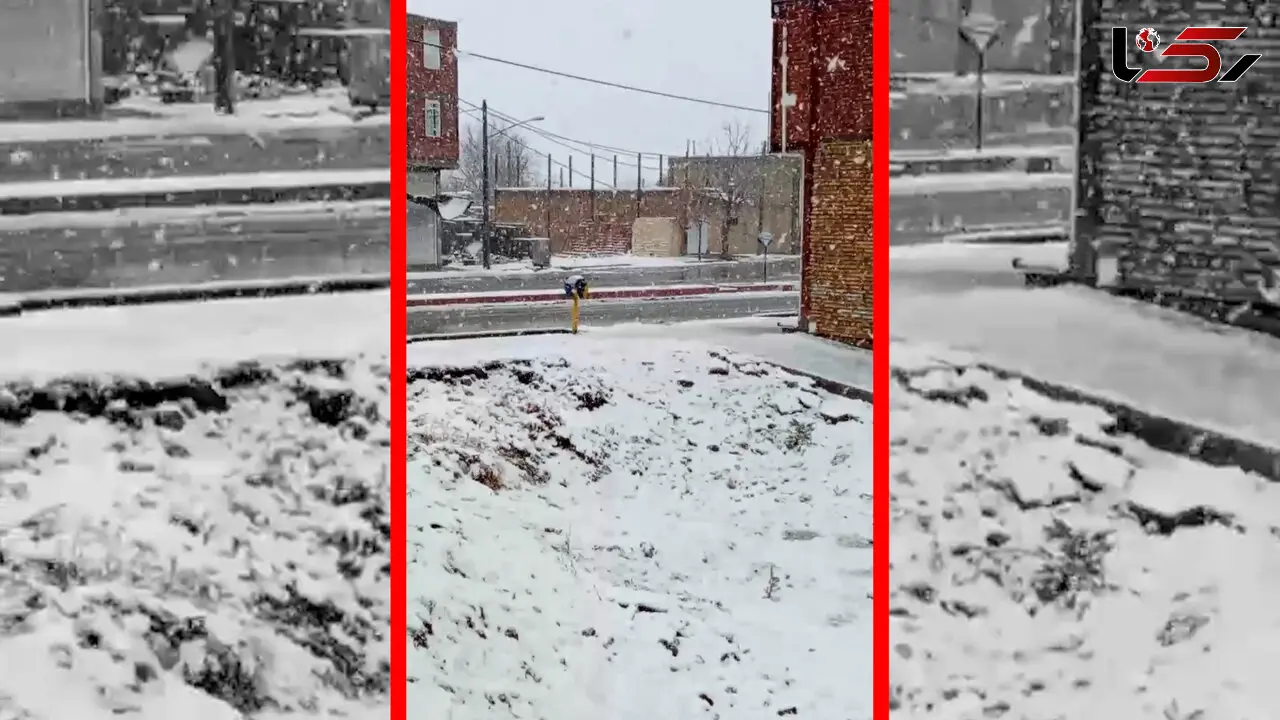 فیلم بارش برف در شهر رابر کرمان