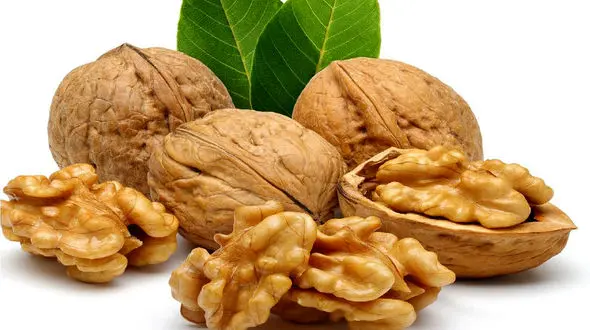 حتما صبحانه گردو بخورید