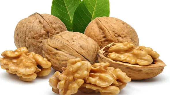 حتما صبحانه گردو بخورید