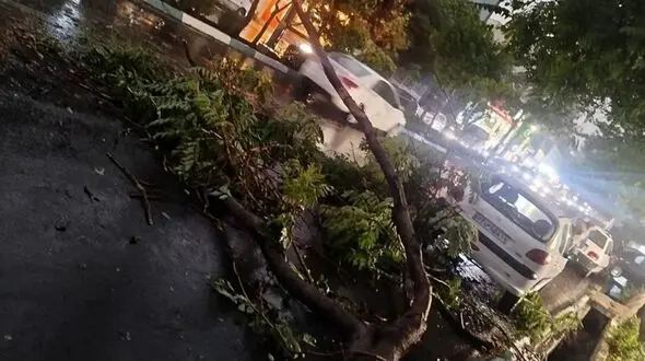طوفان تهران ۶ مصدوم برجا گذاشت