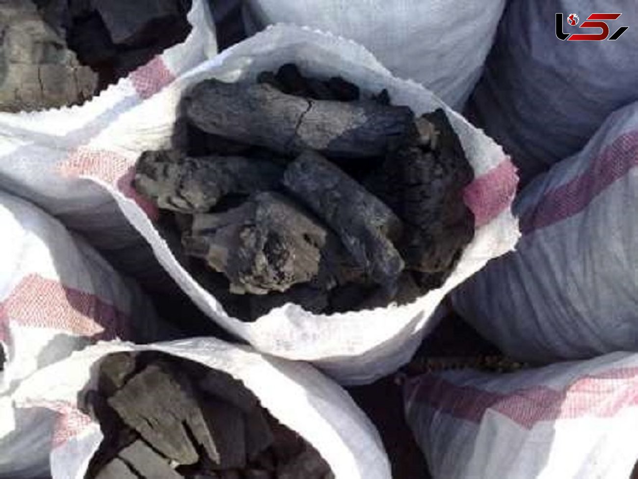 کشف 57 کیسه زغال قاچاق در دلفان