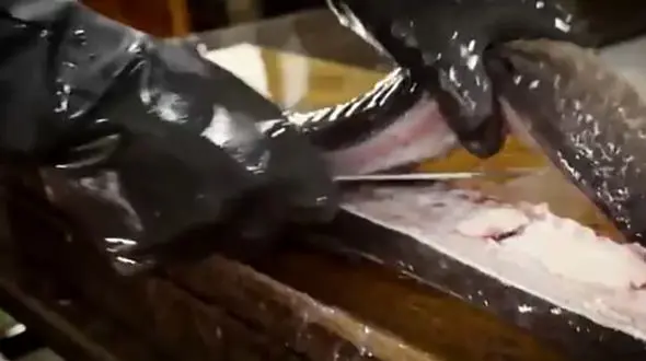 غذاهای خیابانی در ژاپن؛ مهارت برش مارماهی و طعم‌ دار کردن آن در توکیو